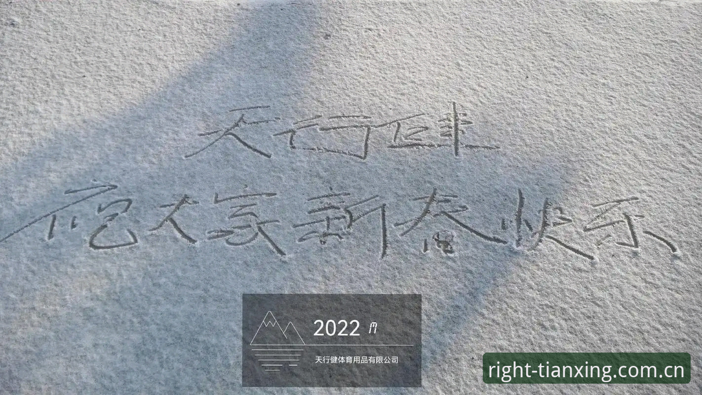 天行体育平台全面评测：为什么我说"只做对的那一套"不是口号，是数据结果